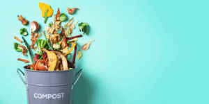 A Beginner's Guide to Making Compost