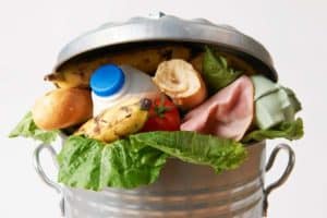garbage pail of old food, fruit and veg peelings