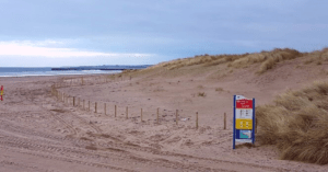 Embryo dune fencing installation along Castlerock beach, January 2017. (Photograph from NIEA)