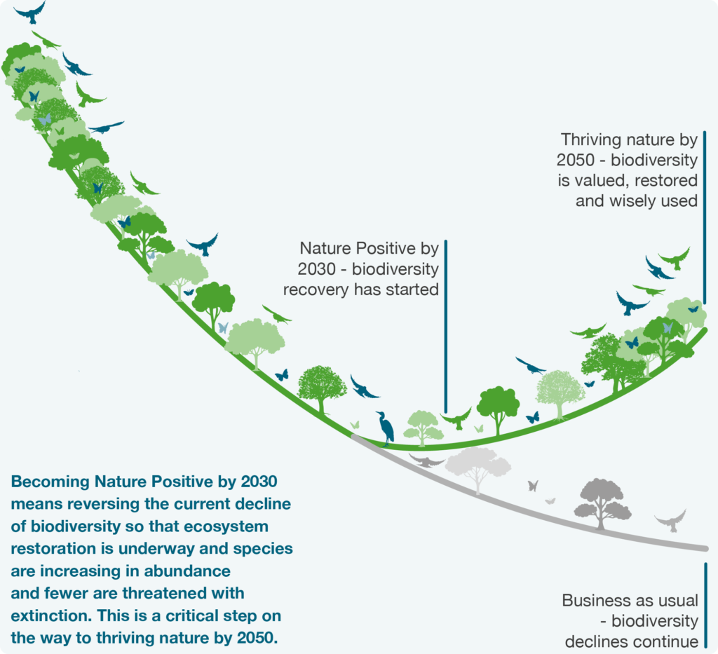 Diagram showing the impact of adopting Nature Positive 2030 solutions versus the impact of doing nothing