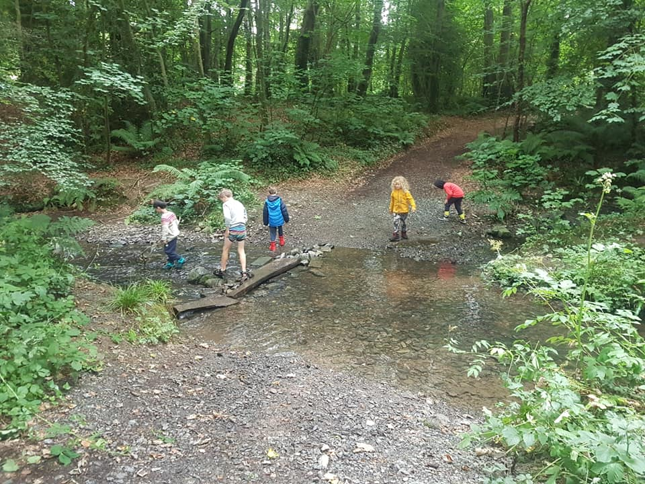 shallow river with trees in background, children wading through the water