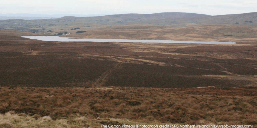 Garron Plateau Bog Restoration