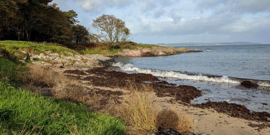 Northern Ireland’s Healthy Relationship With Seaweed